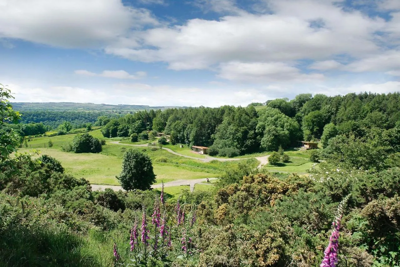 Dom wakacyjny Yorkshire Dales Lodge 3 Family 3 Bed Richmond  Wielka Brytania